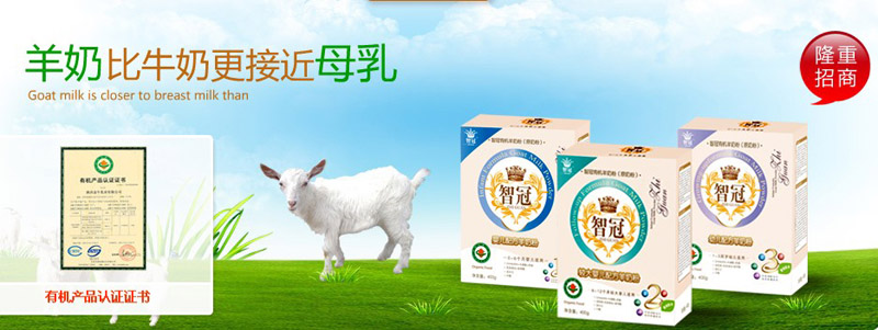 �ǹڋ냺���̷�����