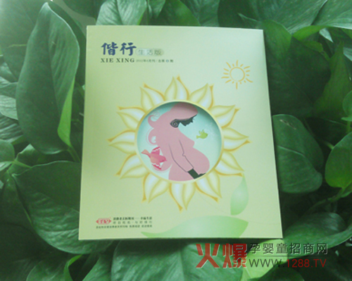 ʥ�������С�������ܰ����(l��i)