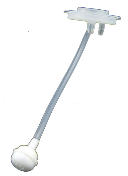 Сϣ��yinge����