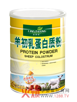 �`������鵰���|(zh��)�� �o���������ӷ�