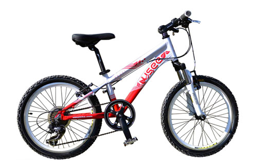 USEE優(yōu)適天使鋁合金20寸兒童自行車男童款兩色可選