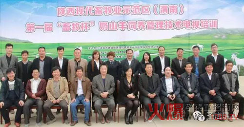 �׌á�����������ɽ����B(y��ng)�������g(sh��)�ҕ��Ӗ(x��n)����A�M��Ļ