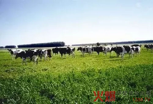 �����С���R(sh��)���Կ������J(r��n)�O(ji��n)ί���x����������ЙC(j��)ʳƷ��(bi��o)��(zh��n)��