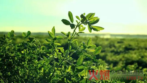 �xɽţ�̟���ӛ��������(ch��ng)������ �����֎ײ���