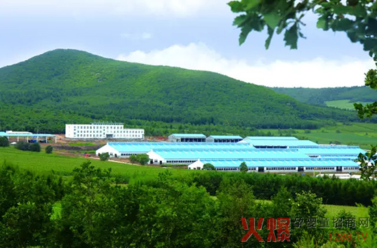 �l(f��)չ��(sh��)�w��(j��ng)��(j��)�����_(d��)ɽ���Є�(d��ng)��