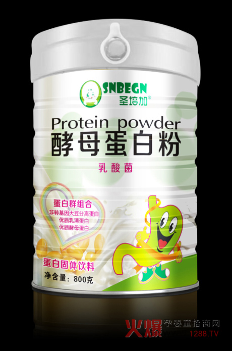   ʥ����������ĸ���׷�