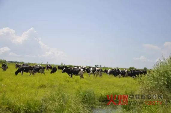 ���_(d��)ɽ�̷۞�Ε�(hu��)�ܵ��@ô���˵�ϲ����