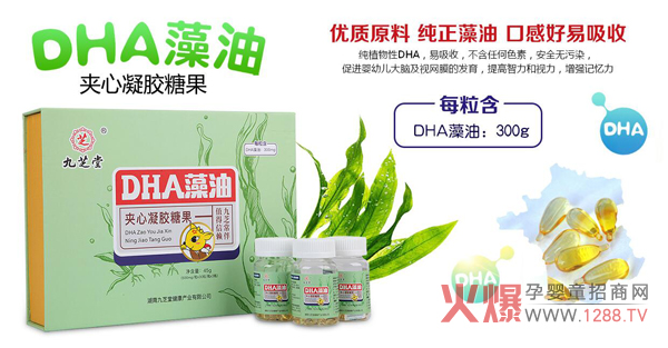 ��֥��DHA���͊A�����z�ǹ� ��ֲ���Դ��(y��u)�|(zh��)�àI(y��ng)�B(y��ng)