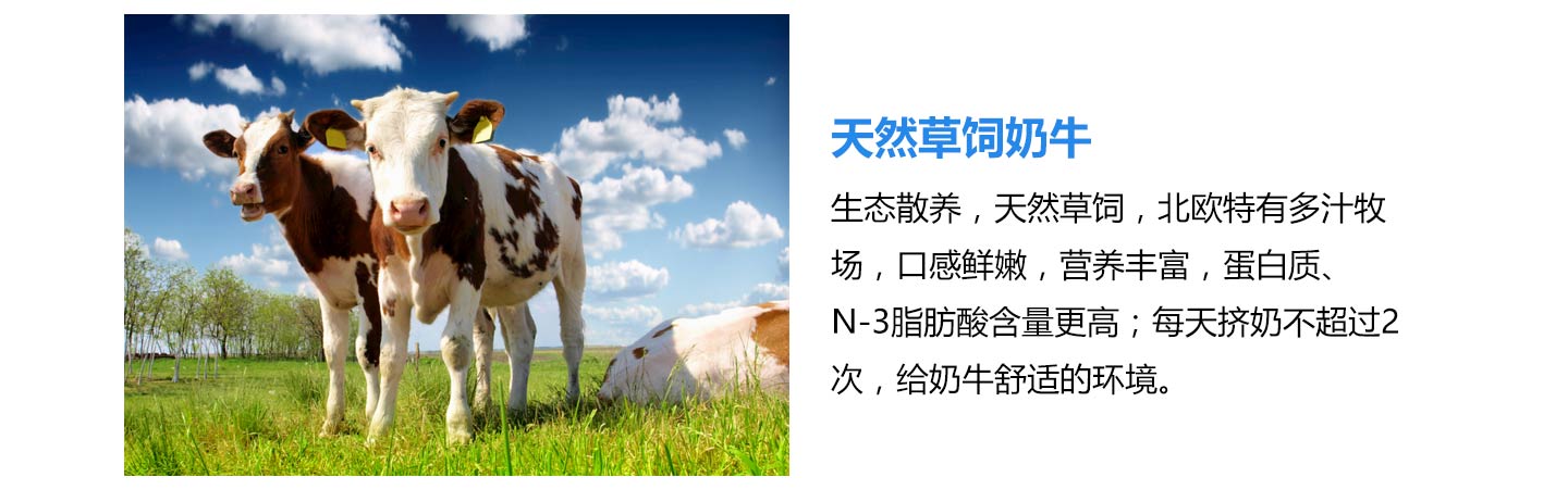  ʥԪ��(y��u)��(qi��ng)�̷�06