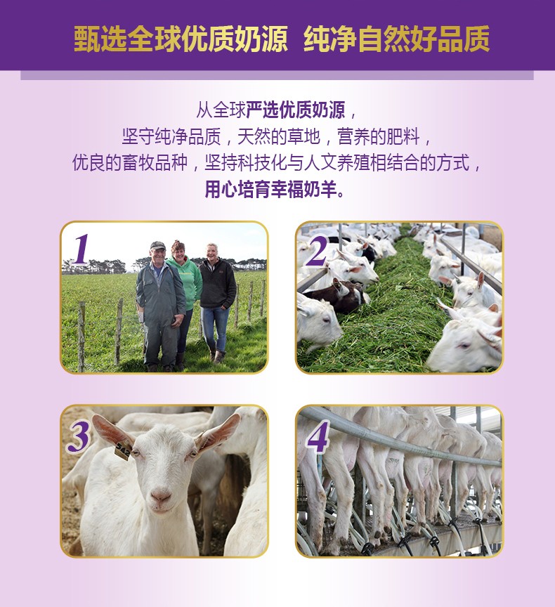  �����׃��䷽���̷ۣ�12-36���g��3�Σ�_03