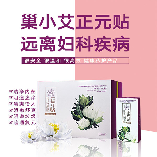 巢小艾雪蓮正元貼 24貼裝 (1)