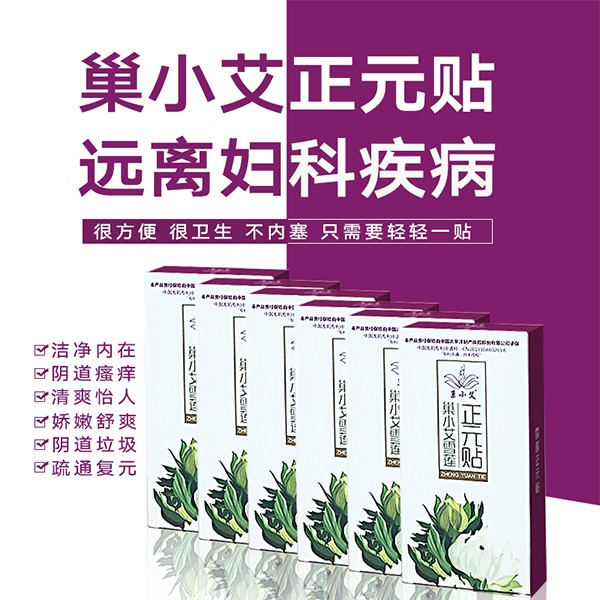 巢小艾雪蓮正元貼 24貼裝 (2)