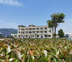  ������ĸ���I(y��)���S��8