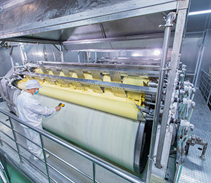  ��������S31