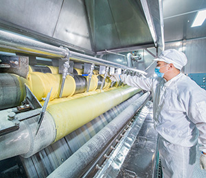  ��������S29