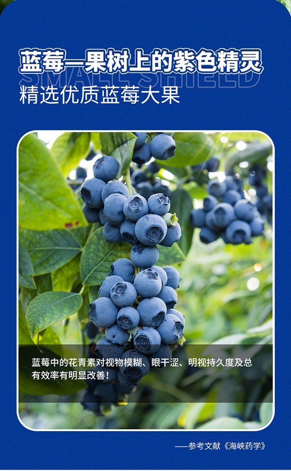 英貝健愛眼日記葉黃素藍莓飲 (7).jpg