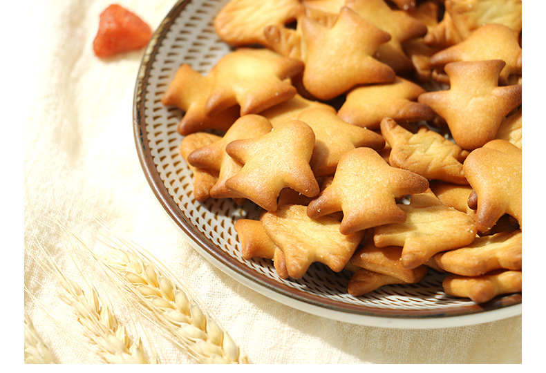 飛機造型奶鹽小餅干 (9).jpg