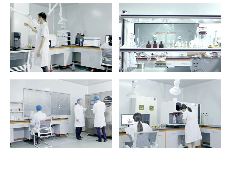 海底世界造型餅干 (13).jpg