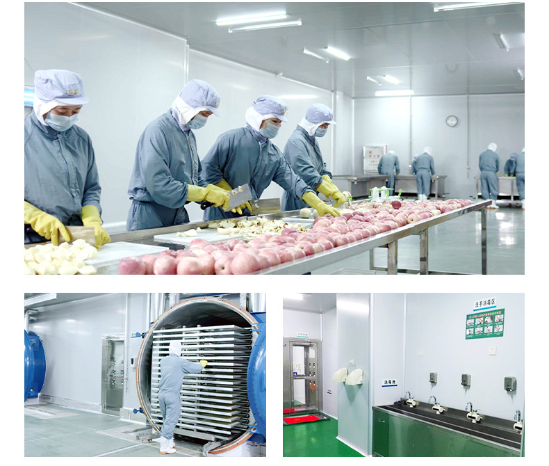 兒童果蔬造型餅干 (13).jpg