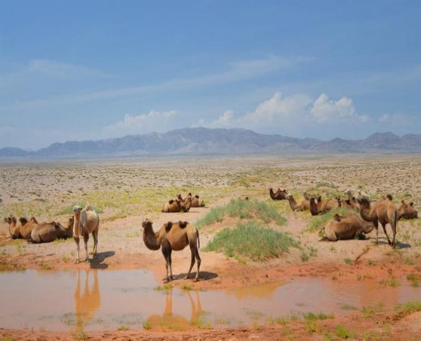 ���ƽz�ĸ�댣�������\�д���������ģʽ���´������o(h��)ȫ�ҽ������\�����ļ�����