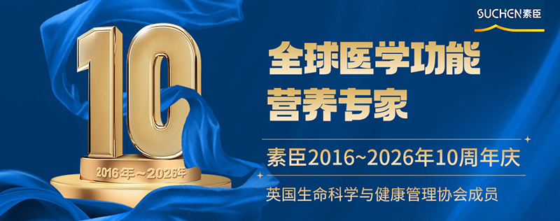 2026�س�ɽ��u��(n��i)�������R����(y��ng)�����������t(y��)ˎ�о�ǰ���R���īI�����