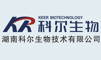 ���ϿƠ����＼�g(sh��)���޹�˾