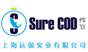 �Ϻ��h�����I(y��)���޹�˾