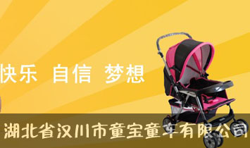 ����ʡ�h����ͯ��ͯ܇(ch��)���޹�˾