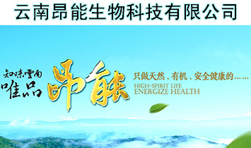 ���ϰ�������Ƽ����޹�˾