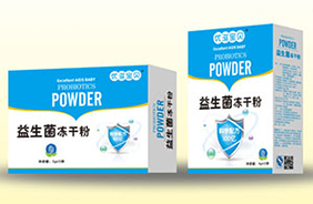 ��(y��u)�̌�ؐ������