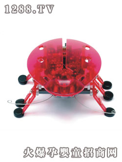 �����������ǣ����x��