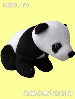 ������ͨë�q��؈