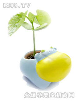 �옷�����B(t��i)��߶߶�������ϵ��