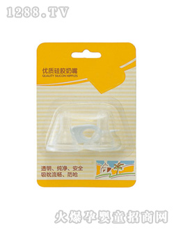 ���E�p�����b����