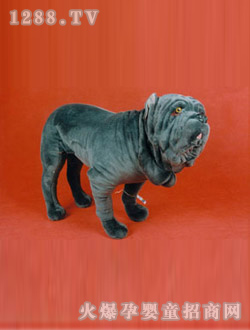 ���ҷ�����߻�ɳƤ��