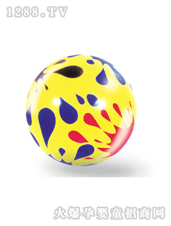 ���Z���pӡ��ʵ�