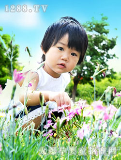 ���Ȑ�ؐ��Ұ��Č���