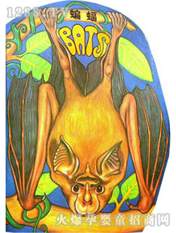 С��̖�����L�����w�������ģ�