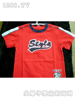 ̩���ܼ���tɫӡ��T��