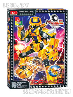 ���R�C���˷eľC9530B