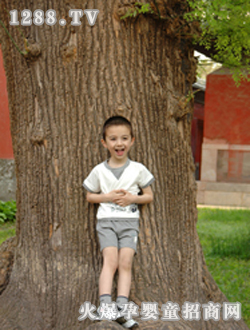 ɭ�ŵ����������