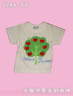 С��ذ�ɫ����T��