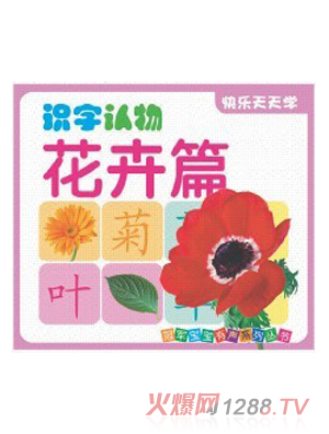 �R���J(r��n)�ﻨ��ƪ