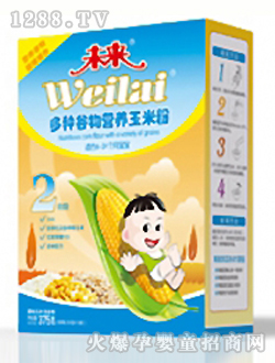 未來牌多種谷物營養(yǎng)玉米粉2段375g