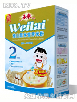 未來(lái)牌淮山薏米營(yíng)養(yǎng)米粉2段400g