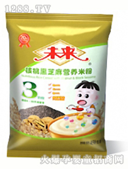 未來(lái)牌核桃黑芝麻營(yíng)養(yǎng)米粉3段450g