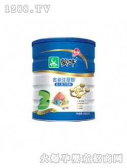 ���b������yinge�̷�900g