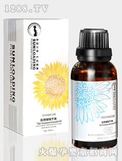 ���m�࿹�������A��