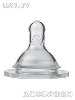 �������ڏ����z����S̖