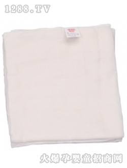 ��(��i)�����p�Ӽ�����DT31A